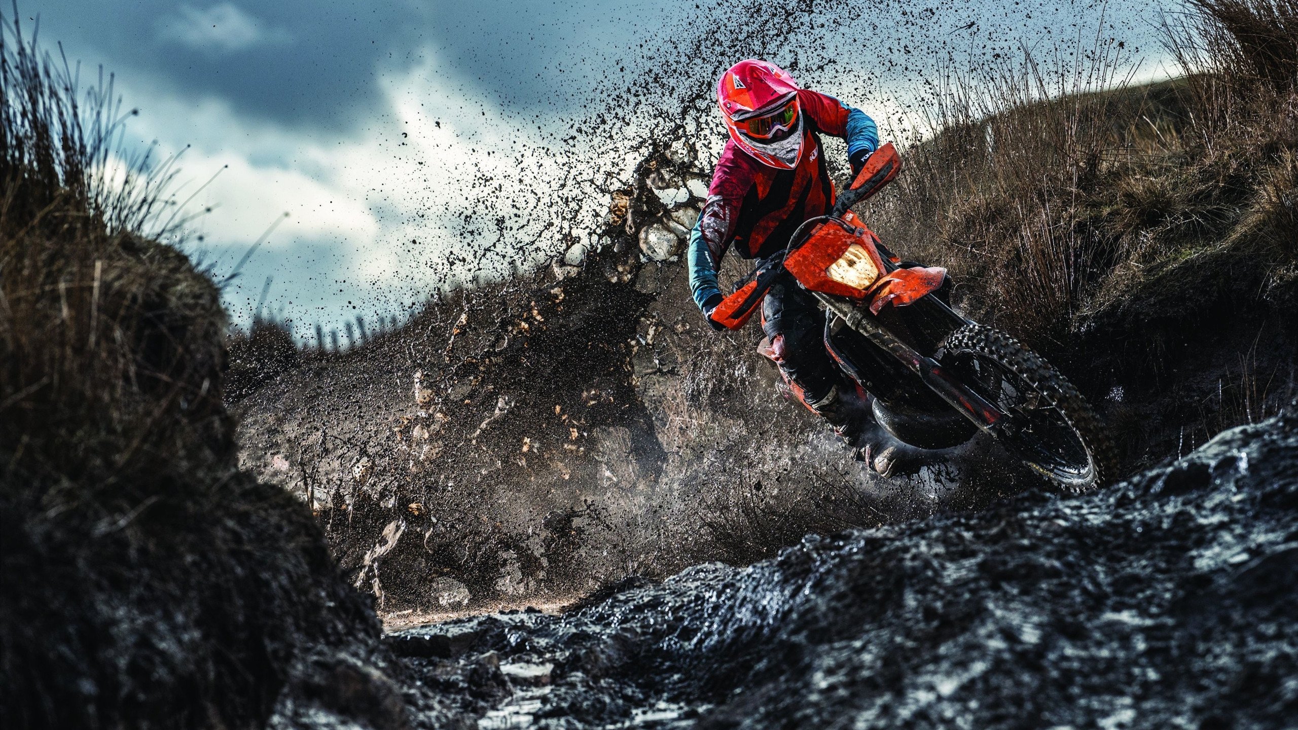 JIUYOU GAMING-美国骑手凯尔·库克在巴黎奥运会上首次亮相即夺得障碍赛银牌，表现出色。